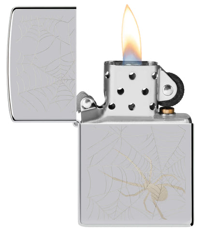 Spider Web Design